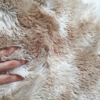 Tapete 2,00x1,50 Peludo Felpudo Sala E Quarto Cores Cor Bege-mesclado Desenho Do Tecido Pelo Alto